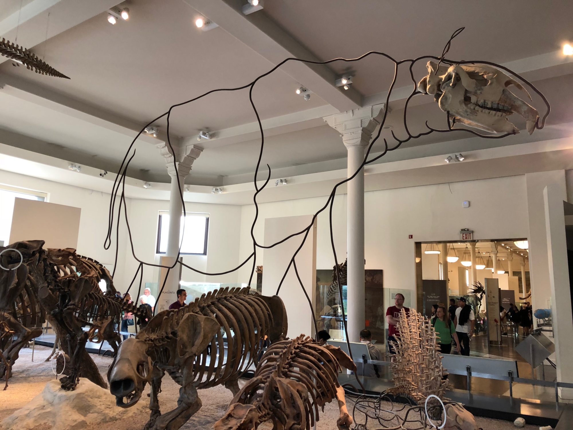 A Multi-Sensory Visit to the American Museum of Natural History ...