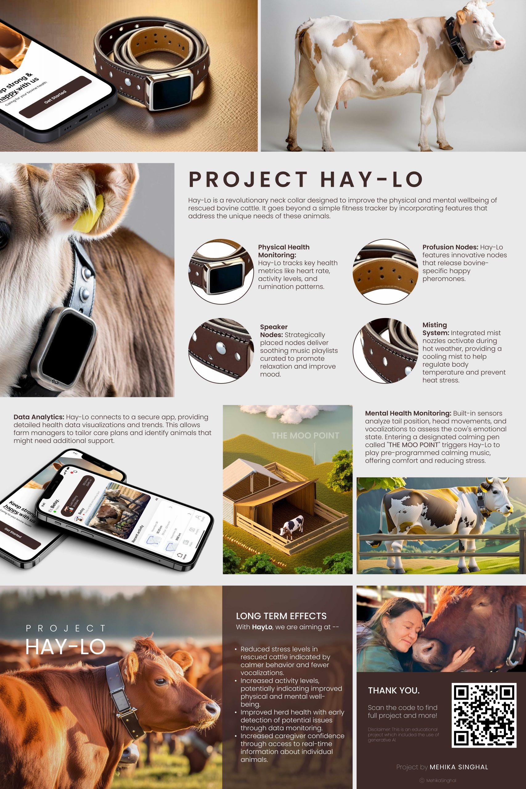 Hay Project Model PROJECT HAY-LO – #infoshow