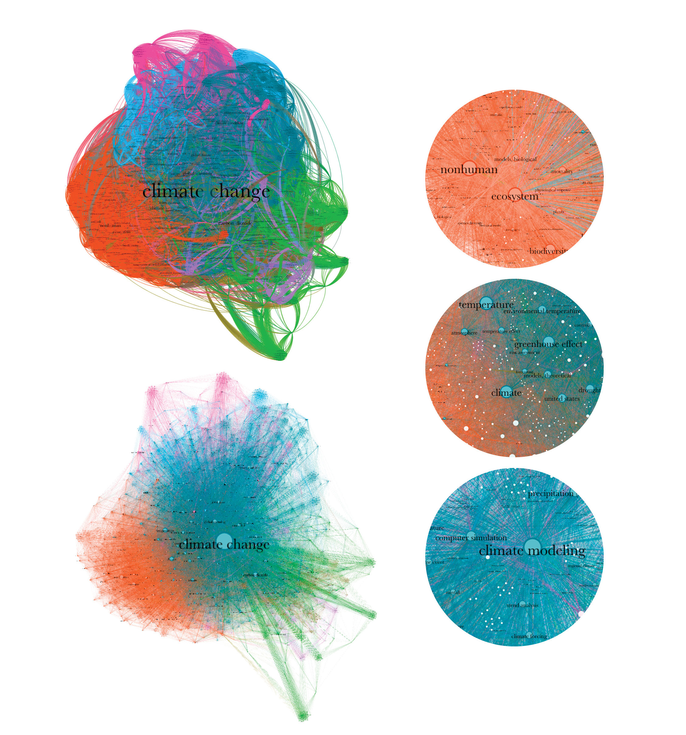 Network Graph – Information Visualization