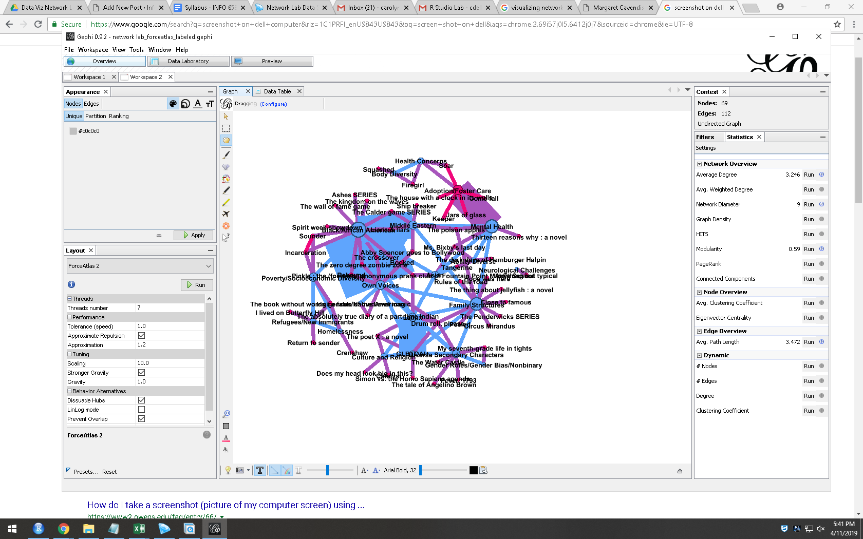 gephi screenshot – Information Visualization