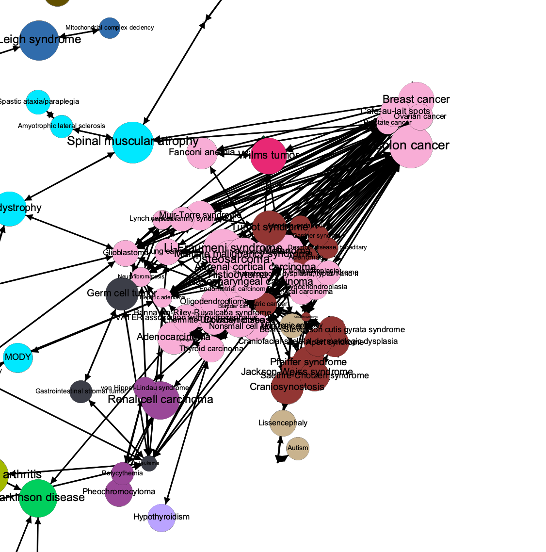 What’s The Connection? – Information Visualization